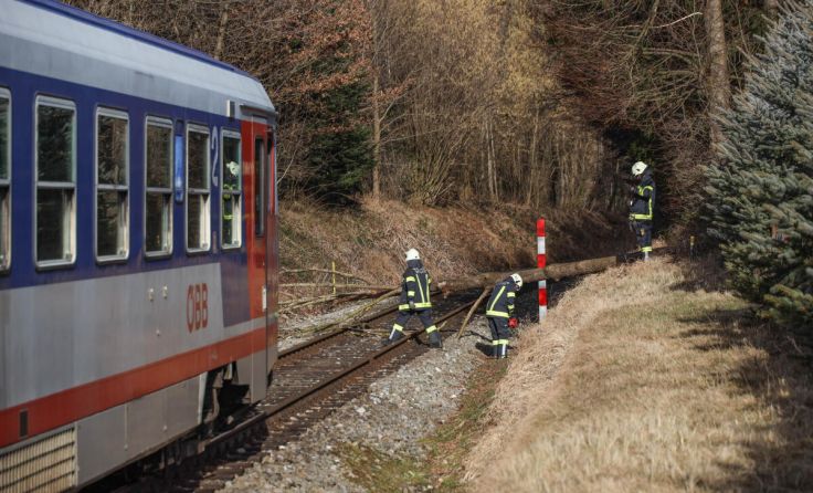 Einsatz für die Sattledter Feuerwehr. (Foto: laumat.at/Matthias Lauber)