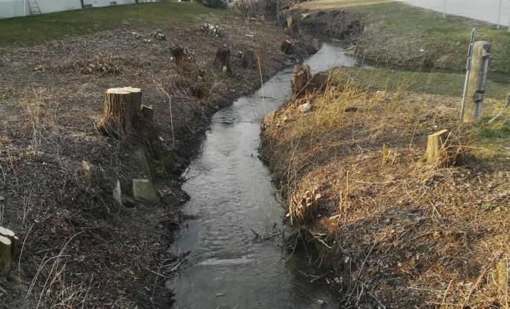 Entlang des Baches blieben nur noch die Stümpfe übrig. (Foto: privat)