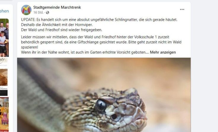 Die Stadt Marchtrenk hielt die Bevölkerung via Social Media auf dem Laufenden. (Foto: Tips)