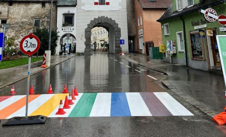 Die Farben des Anstoßes für die Welser FPÖ. (Foto: Tips)