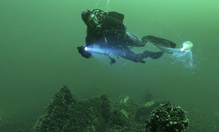 Im Unterwasser-Einsatz (Foto: Roland Obst)