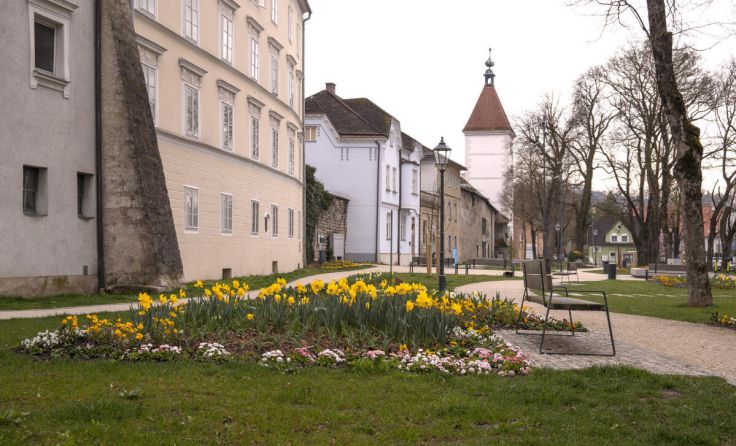 Frühlingsbepflanzung im Pollheimerpark (Foto: Stadt)