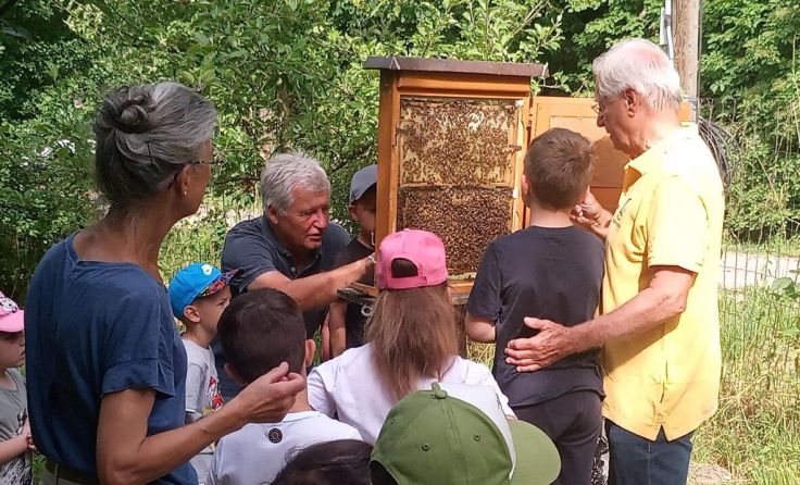 Kinder beim Schaustock am Bienen-Erlebnisweg. (Foto: Welser Imker)