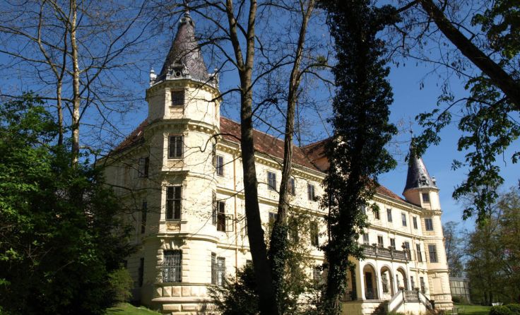Das Bildungshaus Schloss Puchberg (Foto: privat)