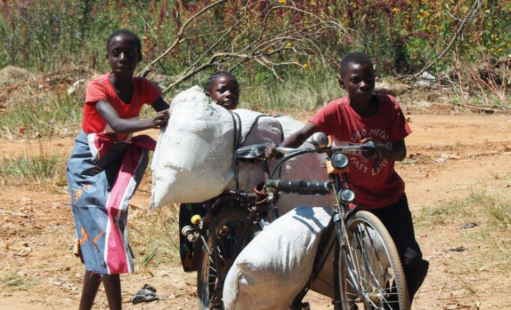 Zwei Pedale gegen den Hunger: Miva-Lastenfahrrad als wahrer Alleskönner in Afrika; (Foto: Miva)