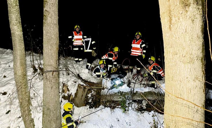 Anfang Dezember forderte der Schnee viele Einsätze. (Foto: FF WL)