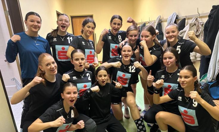Die Damen der SMS Wels gewannen den Schul-Handballcup. (Foto: privat)