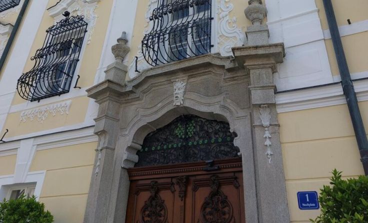 Welser Rathaus (Foto: Tips)