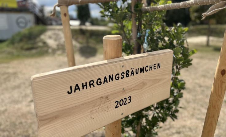 Der Jahrgang 2023 ist gepflanzt. (Foto: Stadtgemeinde)