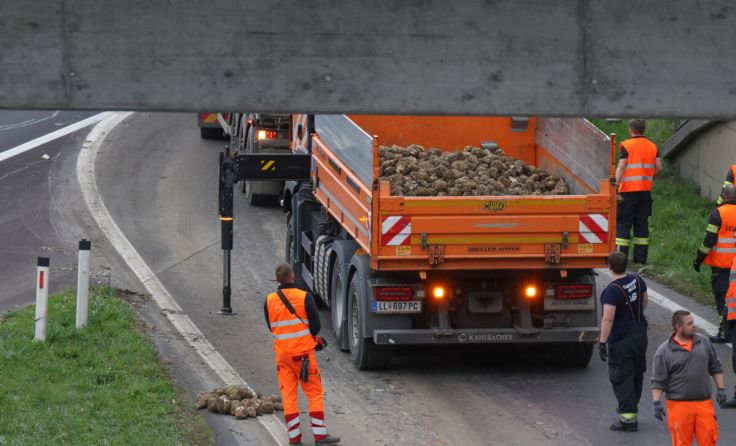 Abtransport der eingesammelten Zuckerrüben. (Foto: laumat)