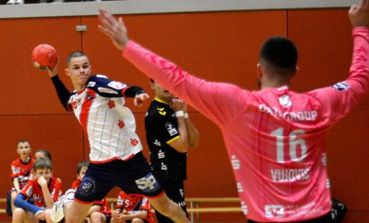 Wels gegen Stuttgart. (Foto: Spiders)