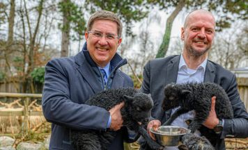 Erneuerung: 1,6 Millionen Euro für den Welser Tiergarten