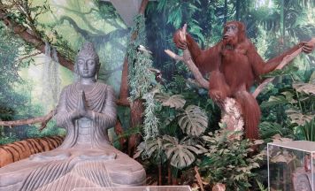 Zentrum für Biodiversität Schmiding: „Eine Zeitreise durch die Evolution“