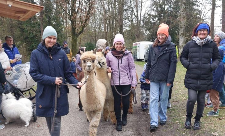 Alpakas zu Gast beim Frühlingsfest (Foto: privat)