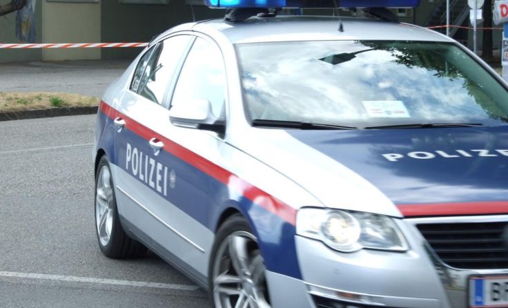 Im Einsatz (Foto: Tips)