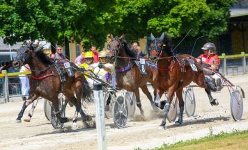 Saisoneröffnung auf der Welser Trabrennbahn