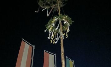 Kein Maibaum: Nachbargemeinde half heimlich aus