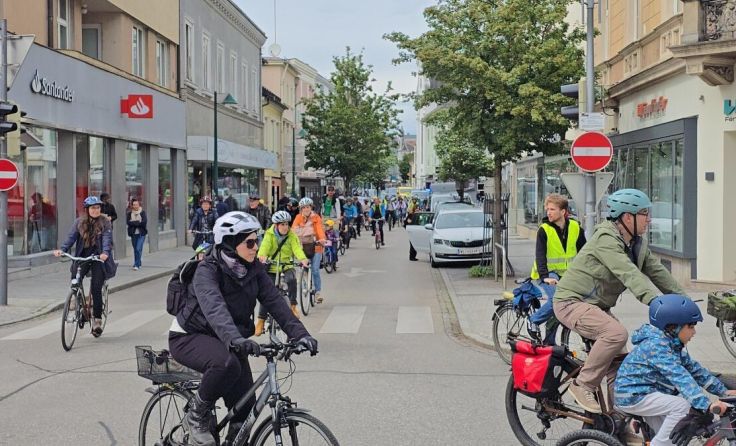 Teilnehmer der Kidical Mass in Wels (Foto: privat)