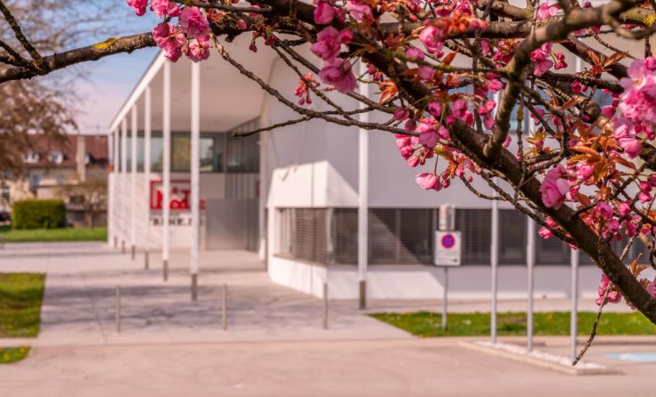 Blick auf den Kulturraum Trenk.s (Foto: Oberlaber)