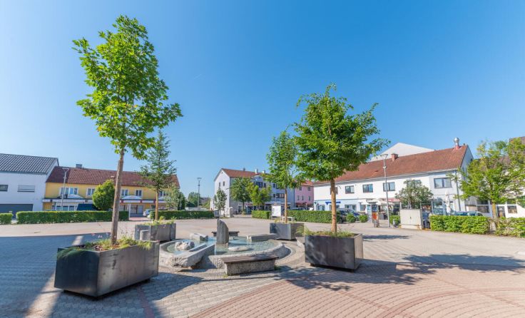 Neue Tröge und Bäume am Marchtrenker Stadtplatz. (Foto: Oberlaber)