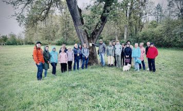 Mystische Wanderung rund um Marchtrenk