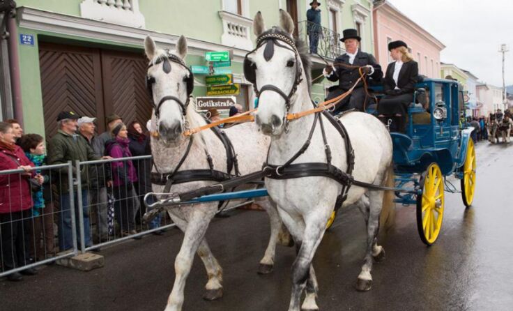 Alle Fotos: Walter Grohs