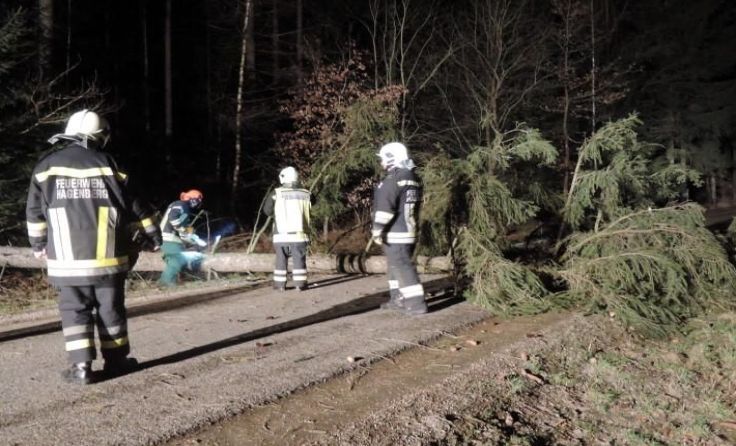 Fotos: FF Hagenberg