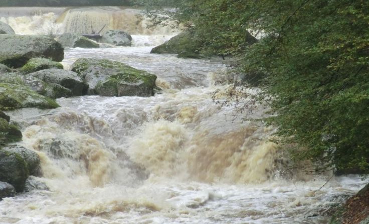Das Hochwasser 2002 und 2013 hat vielen Menschen Leid zugefügt.