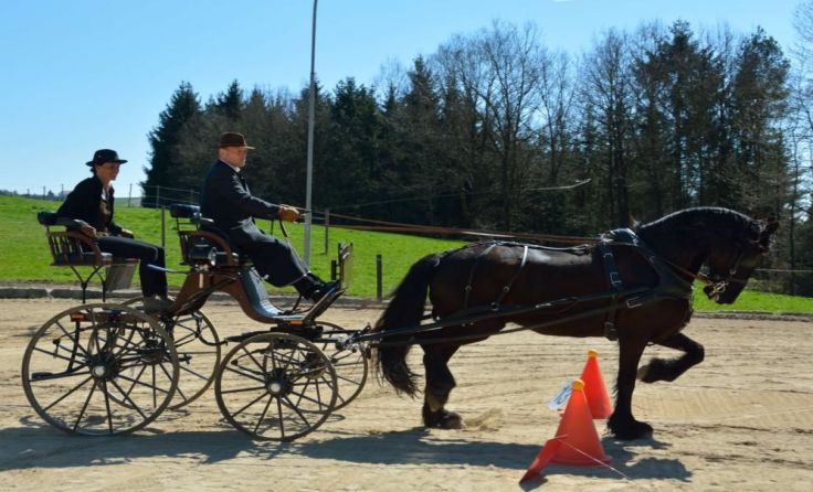 Beeindruckend waren die Gespanne beim Fahrercup in Bad Zell. Foto: Kevin Freinschlag