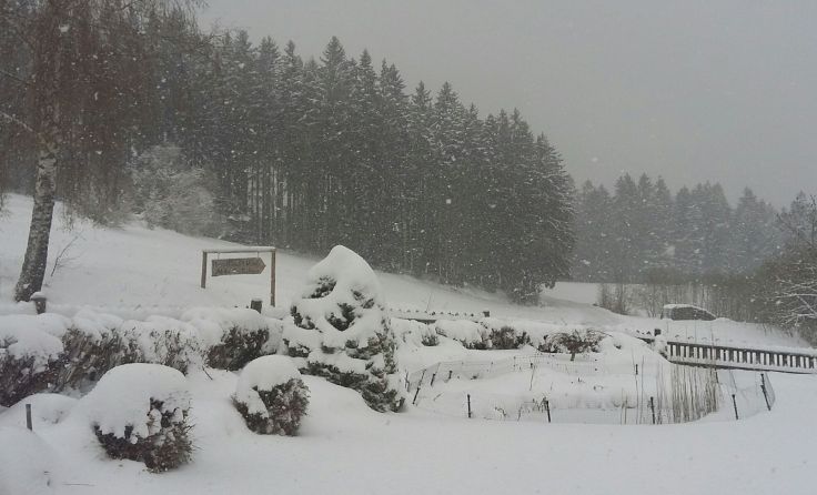 Der späte Schnee und Frost ist für die Landwirtschaft gefährlich.