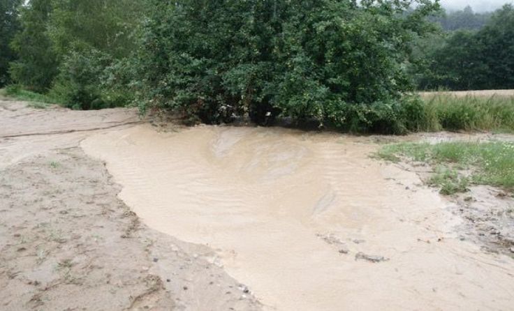 Ausgleichsflächenabschwemmung in Lasberg Foto: Grüne OÖ