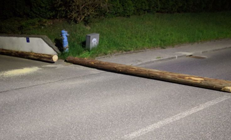 Der unfertige Maibaum wurde einfach auf der Straße liegen gelassen.