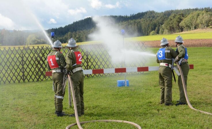  (Foto: Herbert Denkmayr)