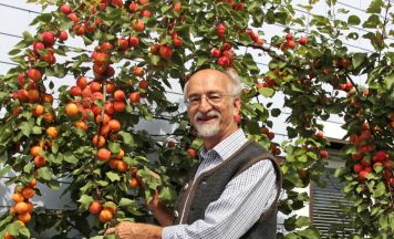 Vortrag über frostfeste Marillen in Pregarten
