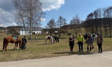 Entschleunigt vernetzt: gemeinsamer Ausritt verbindet Reitregionen im Mühlviertel