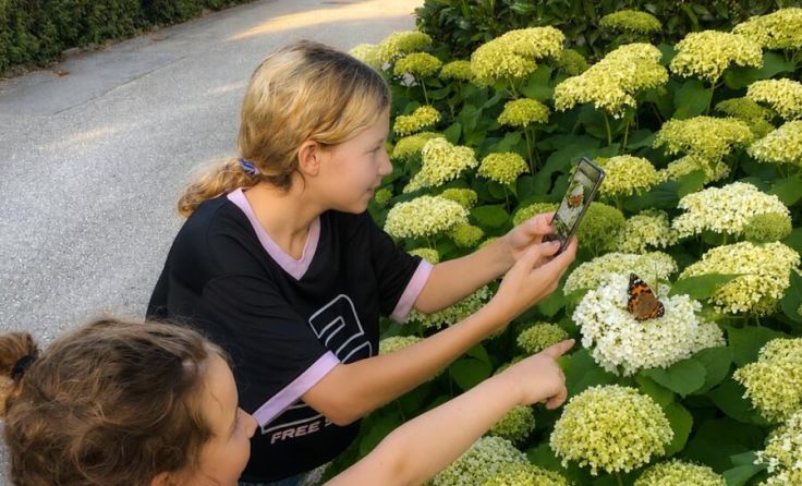 Auf Entdeckungsreise (Foto: Alexandra Pichlbauer)