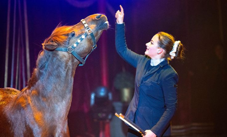  (Foto: Circus Frankello)