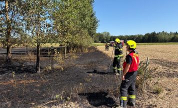 Flur- und Waldbrand beschäftigte sieben Feuerwehren in Perg