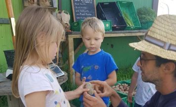 Kinderfreunde-Ferienpassaktion „Entdeckungen auf dem Gemüsefeld“ bei gemüslich in Waldburg