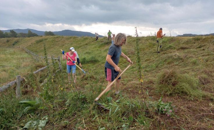 Gemeinsam werden die Feuchtwiesen gemäht. (Foto: Julia Kropfberger)