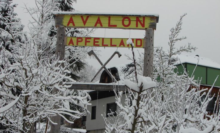 (Foto: Franz Wörister)