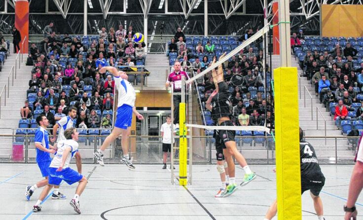 Der VBC Steyr trifft am Sonntag in der Stadthalle auf MG Salzburg. *Foto: Hofer