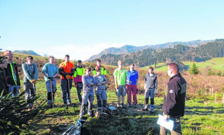 Jugendliche der Bergbauernschule Hohenlehen haben bei der Aufforstung tatkräftig geholfen.