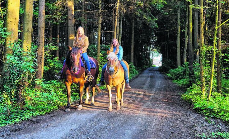 Die Teilnahme am Familienwaldtag ist kostenlos. Foto: Holnsteiner