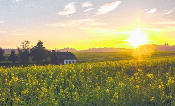 Tolle Abendstimmung. Blick von der Friedhofsmauer in Richtung Hamet.