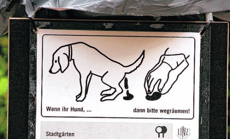 Mehr Sackerlspender fordert das Wahlbündis ÖVP-Bürgerforum. Foto: Weihbold