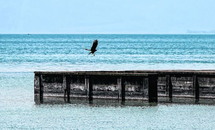 Der 83-jährige Steyrer konnten nur noch tot aus dem Attersee geborgen werden. Foto: Weihbold