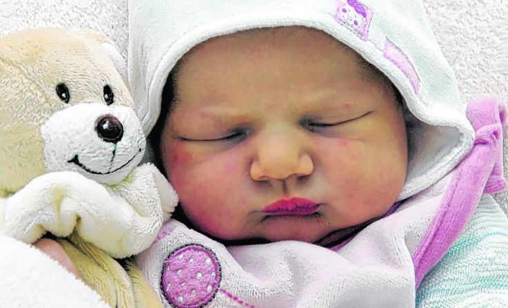 1082 Baby sind 2015 im Steyrer Spital auf die Welt gekommen. Foto: gespag