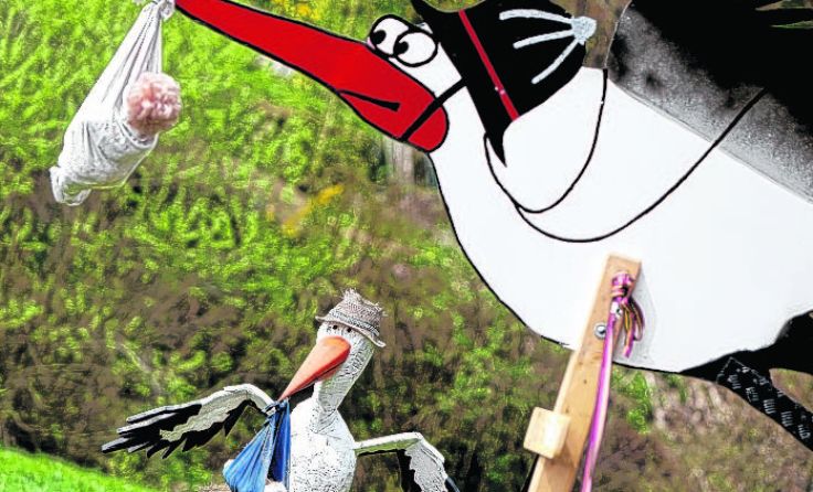 1083 Babys wurden vom Steyrer Standesamt beurkundet. Foto: Weihbold