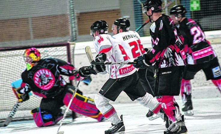 Die Panthers haben den vorzeitigen Finaleinzug verpasst. Foto: sportpixel.eu